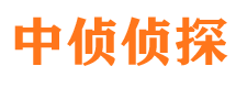 麻江侦探公司